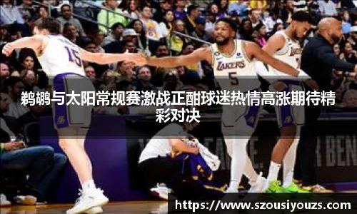 鹈鹕与太阳常规赛激战正酣球迷热情高涨期待精彩对决